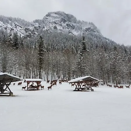 Haus Mühlgraben * Ramsau bei Berchtesgaden